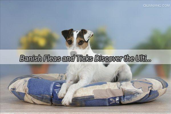 Banish Fleas and Ticks Discover the Ultimate Bathing Solution for Your Pooch